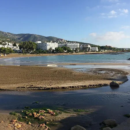 Palma Blanca 3000